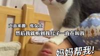 如果你的猫和你的孩子打起来了，你帮谁？