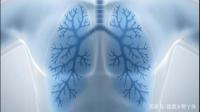 怎样才能保持肺部健康？