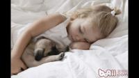 狗狗可以和人一起上床睡觉吗?
