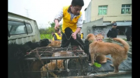 如何看待警民巷围堵四川收狗点?目前犬只以依法无害化处理，后续还会根据调查情况对涉案人员依法处理?