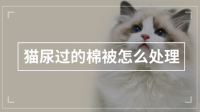 如何如理被猫尿过的棉被？